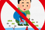 政府に禁止される前に飼っておくべき外来生物を教えてくれ　ザリガニは手遅れだった