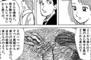 【異常】なんだよこの漫画ｗｗｗ【注意】