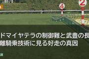 アドマイヤテラの制御難と武豊の長距離騎乗技術に見る好走の真因