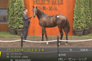 【セレクトセール2025】パリスビキニの2024(父コントレイル)が28,000万円で落札　他