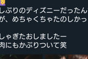 【悲報】浜辺美波さん、男とのディズニーデート写真をTwitterにアップしてしまう…