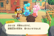 【あつまれどうぶつの森】ジューンブライドのイベント1か月って何となく嫌な予感…