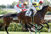 【競馬予想】[2]第62回 京成杯(GIII)/2022