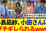 【櫻坂46】小島凪紗、小田さんにブチギレられるwww