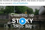 【ドブ】東京湾の海の色をご覧下さい…ここでほんとに泳ぐの？