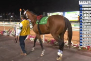 ●日本馬、海外ダートだと追走できない問題