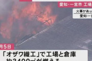 【悲報】ガキ「蜂の巣やんけ！殺虫剤を火炎放射器みたいに使って焼いたろw」3400平方メートルが焼ける