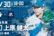 【日ハムvs.ヤクルト1回戦】2（中）細川　6（一）野村