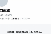 【元日向坂46】井口眞緒、Twitterが突然消える