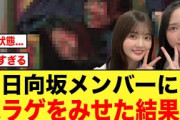 【日向坂46】ホラゲでビビり散らかすメンバーが可愛すぎる件について