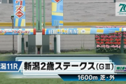 【新潟2歳S】トータルクラリティ＆北村友一騎手がｷﾀ━━━━(ﾟ∀ﾟ)━━━━!!