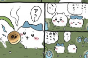 【画像】ちいかわ、かわいいだけの普通の漫画になってしまう・・・