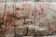 アマゾン熱帯雨林で氷河時代の動物壁画見つかる、長さ１３キロの大作