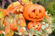 なんで急にハロウィーンとか騒ぎだしたの？