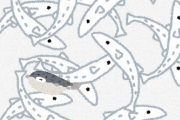 日本のメディア「しらすにフグの稚魚が混ざってたぁぁぁぁぁぁ」←これ