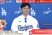 大谷翔平の犬の名前「デコピン」