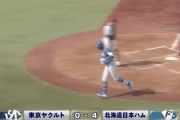 日本ハム、ヤクルトに快勝！山崎福也6回1安打無失点好投！万波松本にホームラン！