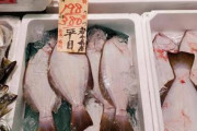 【朗報】地元のスーパー、魚が安すぎるｗｗｗｗｗｗｗｗｗｗｗｗｗｗｗｗｗｗｗ