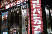 ヨドバシカメラに選ばれた「日本の上級都市」一覧がこちら