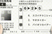 【悲報】藤田菜七子騎手、引退を決意。JRAに引退届を提出…