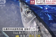 高級魚サンマ、札幌市内のスーパーで一匹4980円