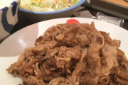 【写真】お肉どっさり定食とかいう松屋の狂気