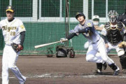 阪神ドラ4栄枝が紅白戦で12球団新人最速の適時打　小野の真っすぐをジャストミート