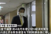 10万円の給付金再支給あるかも　自民党の国会議員73名が緊急提言