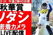 【競馬】ソダシ、歯が折れていた