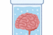 【朗報】培養した人間の脳をラットに移植することに成功