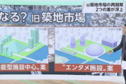 【NHK】巨人築地スタジアム移転案、5万人収容の他競技対応型ドームと判明