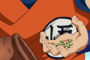 ドラゴンボールの仙豆1個1万円←買う？