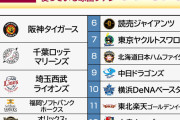 球場でお金を使う球団ファンランキング、最下位はやっぱりあの球団…