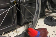 【画像】うちのインコ、ロードバイクを破壊するｗｗ
