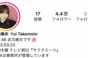 【悲報】インスタフォロワー数 乃木坂アンダー清宮7.9万　櫻坂 選抜武元4.4万