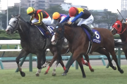G1牝馬ママコチャ、来年7歳も現役続行