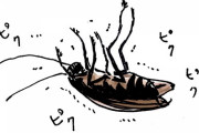 【分かる】深夜1時頃にゴキブリ見付けた時の絶望感はガチで異常ｗｗｗｗｗｗｗｗｗ