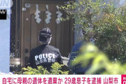 「働いて暮らせと言われ家を追い出された」 母親殺害の容疑で息子を逮捕