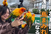 【動画】【天国】鳥マニア浅井が掛川花鳥園で鳥まみれ！櫻坂46にも遭遇！？