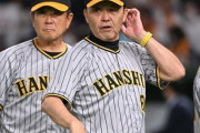 【朗報】阪神レジェンドOB「ノイジーじゃなくて小野寺使え。ノイジーは守備範囲も狭い」