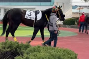 YouTuber・ヒカルの馬、新馬戦で3着