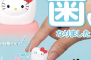 【速報】サンリオ、謎すぎるコラボｗｗｗｗｗｗｗ
