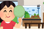 水槽に発生する硬めの糸みたいな苔ってどうしたらいいの？