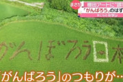 棚田アートで誤字「がんばろう日本」が「がんぼろう日本」になってしまう