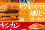 【画像】エヴァンゲリオンバーガー爆誕ｗｗｗｗｗｗ