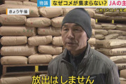 【悲報】米卸、キレた！！「米騒動はまだ終わっていない。我々は米が売れず苦しんでいる」