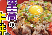 【緊急】ワイの息子が牛丼になってしまった。助けてくれ。