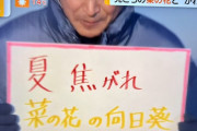 モノノフ気象予報士･依田司さん『夏のヒマワリが…一句思いつきました!!』｢依田さん夏菜子ぶっ込んだねぇ」｢絶対やってくれると思って待機してた」｢お祝いが過ぎるＺ」