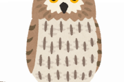 人間が急にフクロウ語を喋ってきたときのフクロウの反応wwwwwww