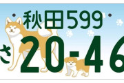 新車図柄ナンバーにしたんだがこれダサいか？